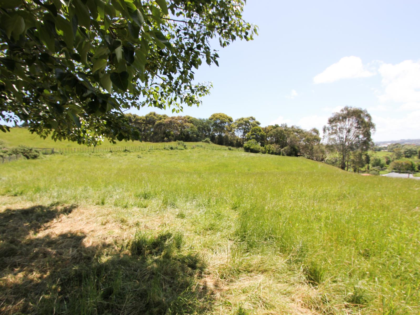 13C Nepia Road, Marybank