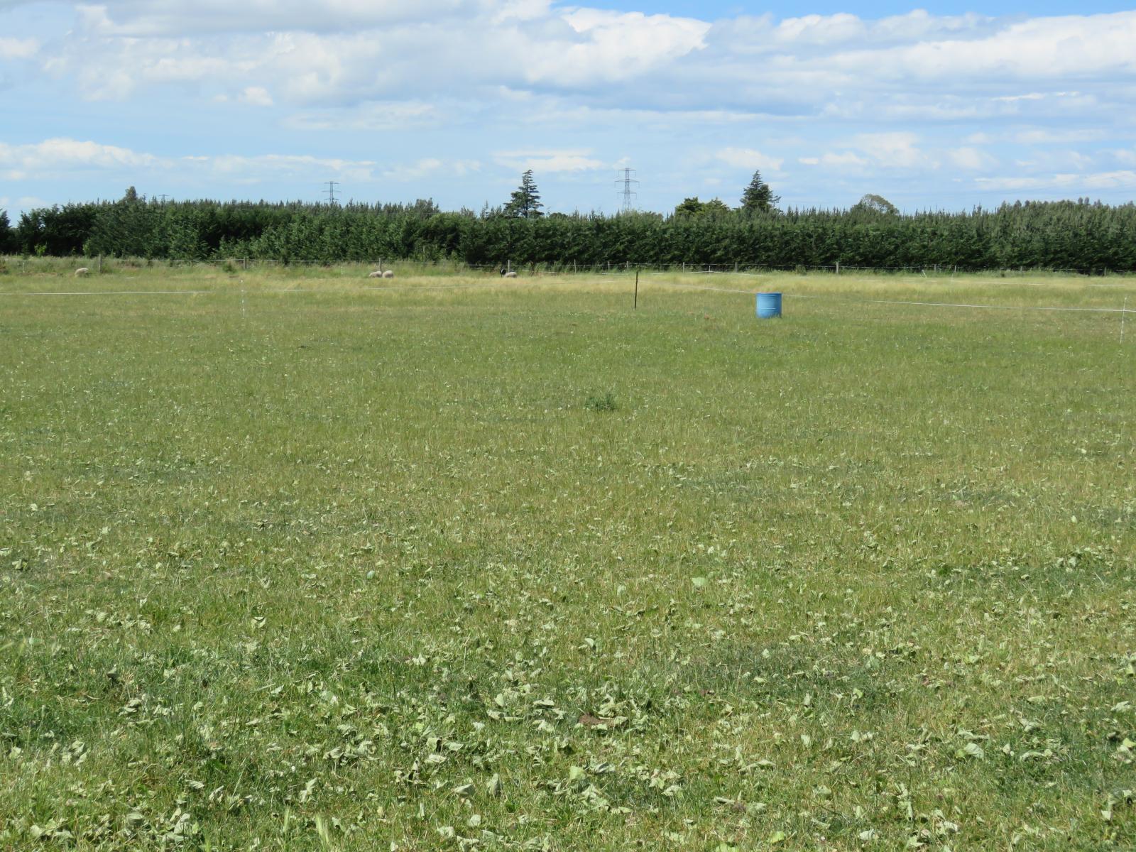 Lot 3 and 4 Chisnalls Road, Hinds