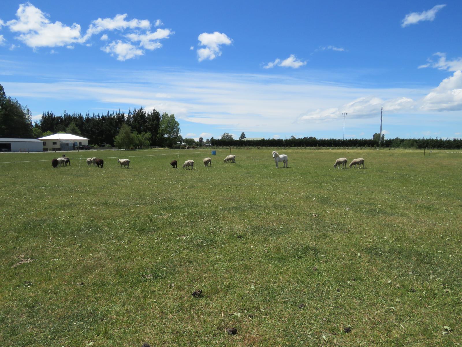 Lot 3 and 4 Chisnalls Road, Hinds