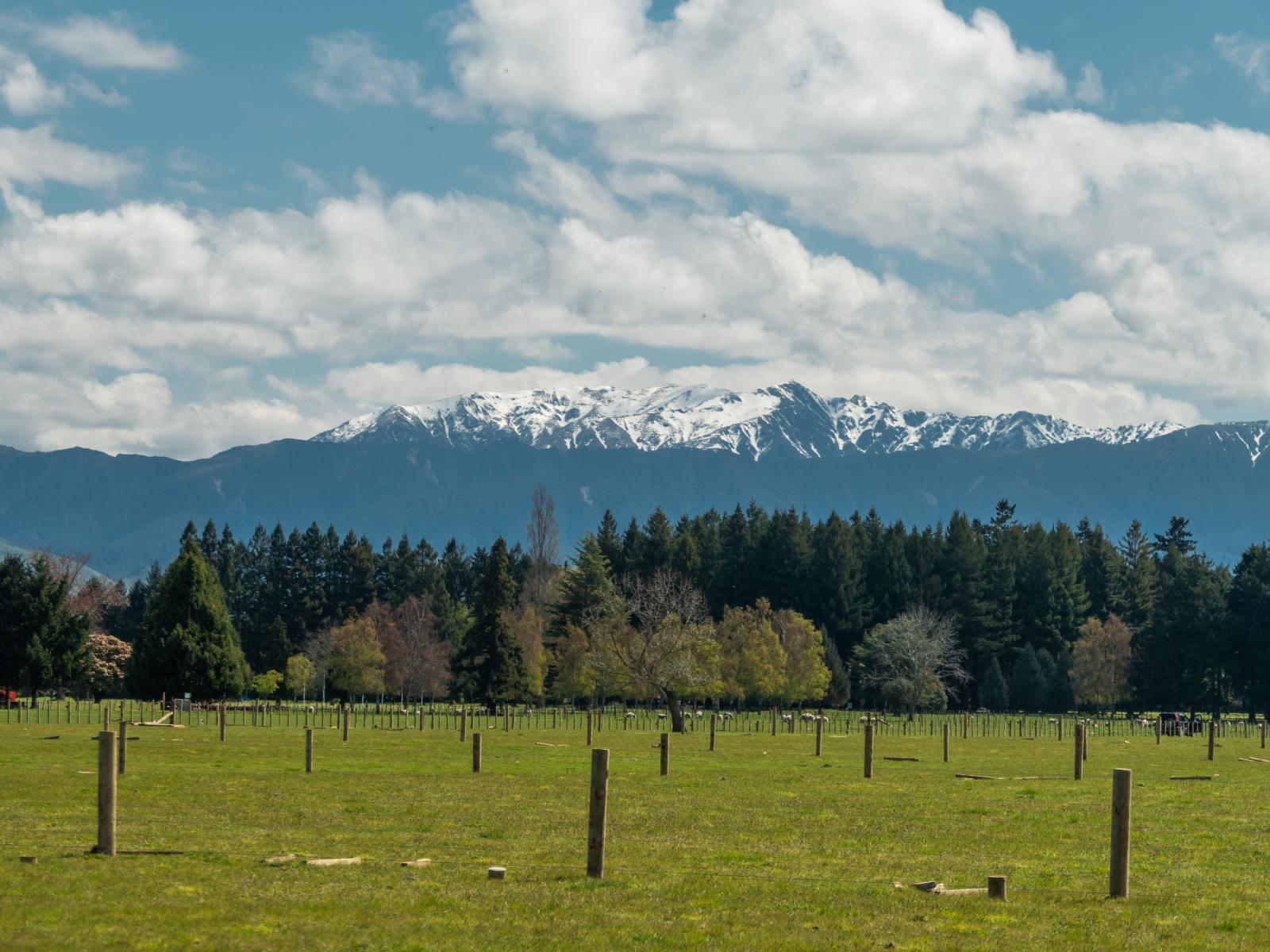 3, 126 Taylor Road, Ongaonga