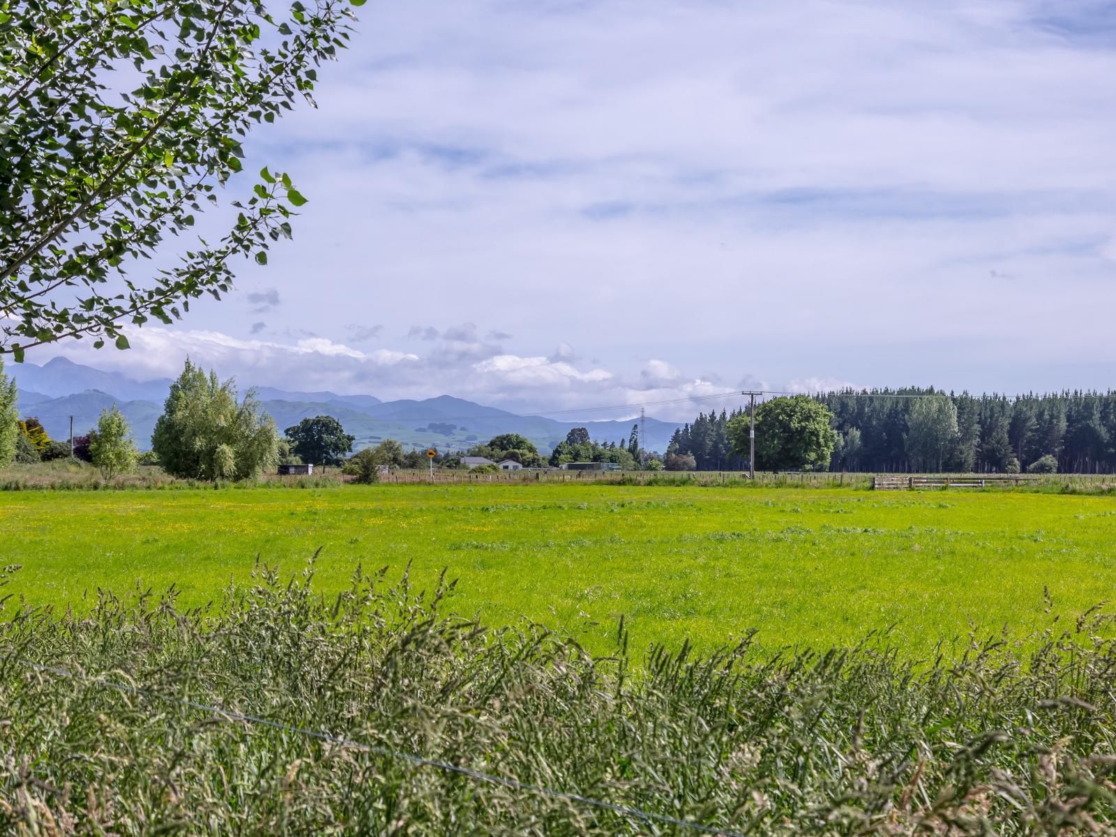 438 Park Road, Parkvale