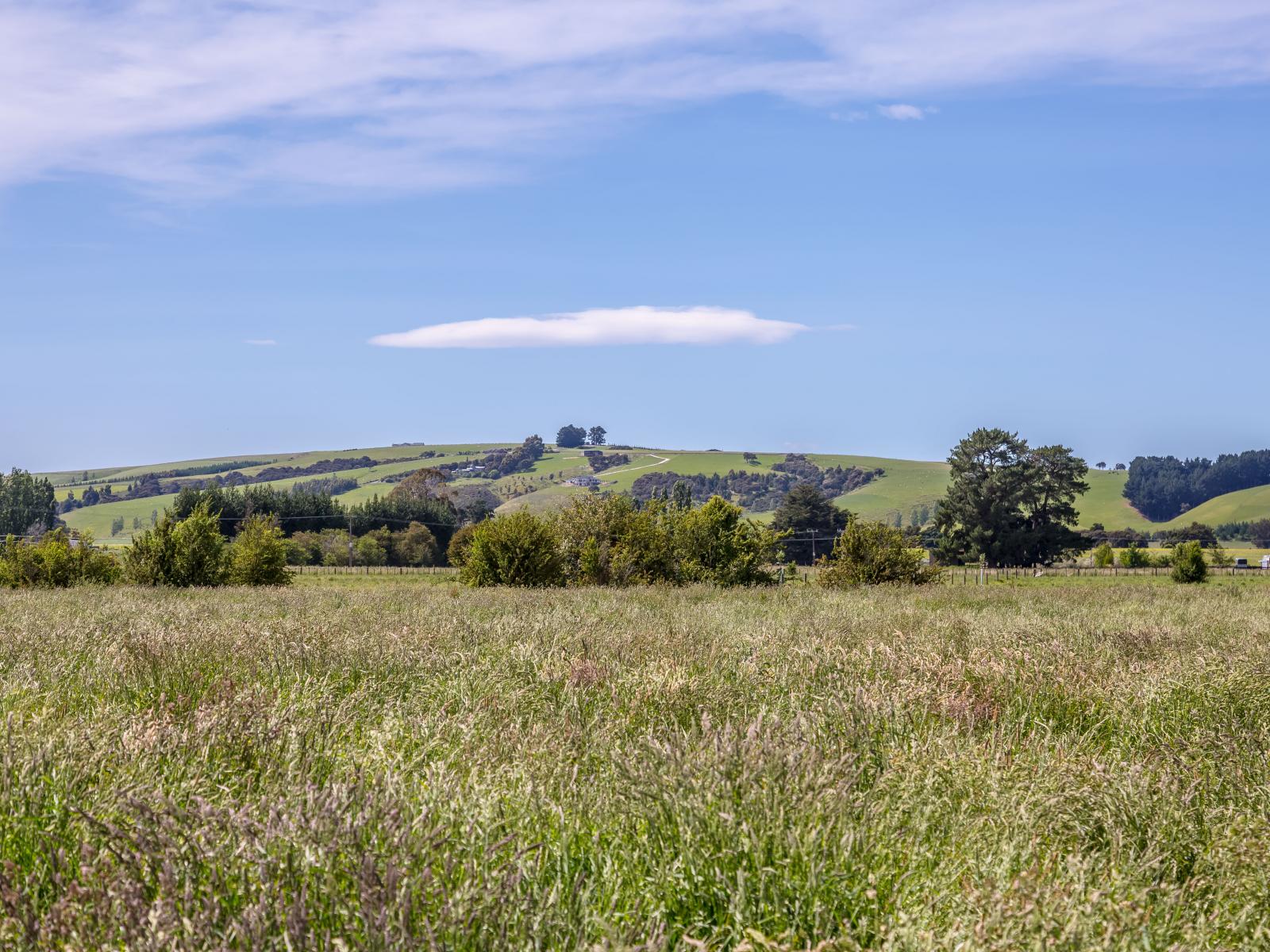 438 Park Road, Parkvale