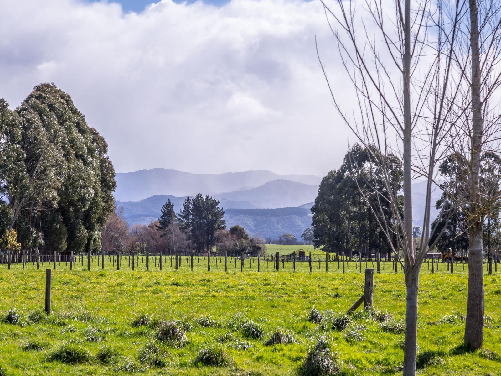 438 Park Road, Parkvale