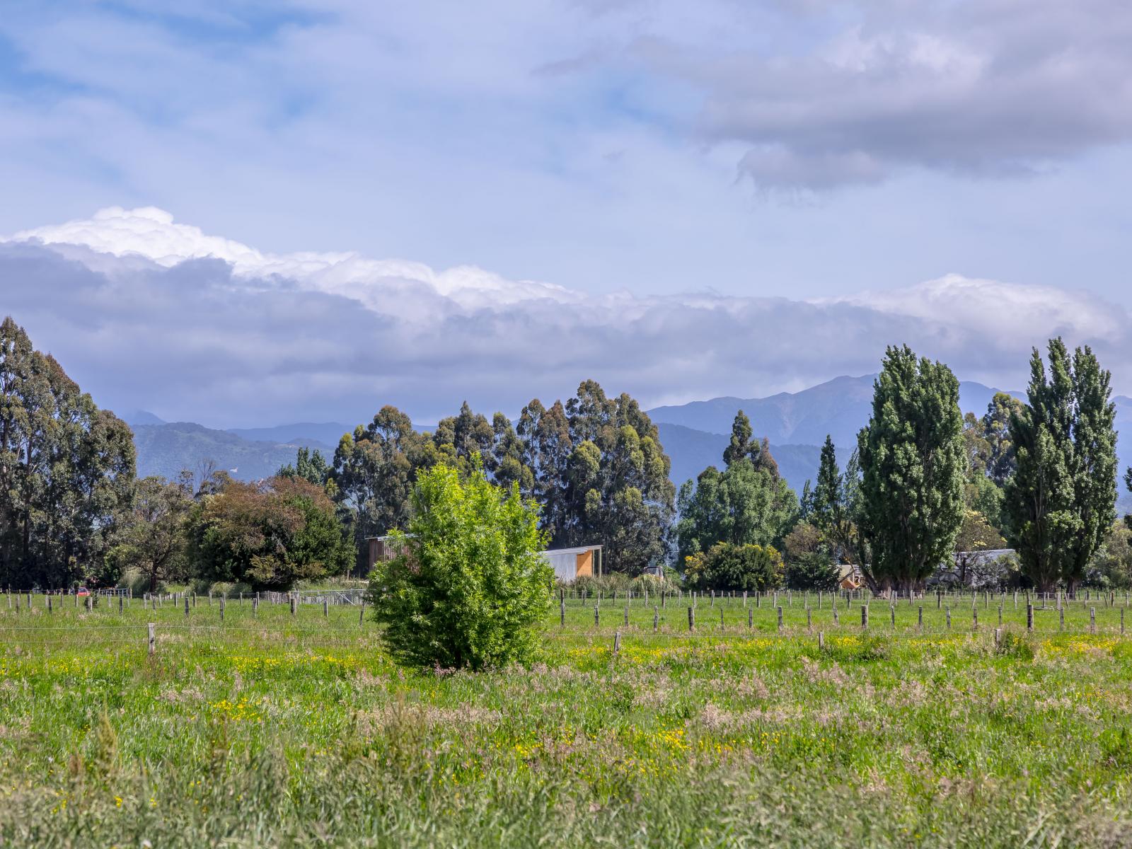 438 Park Road, Parkvale