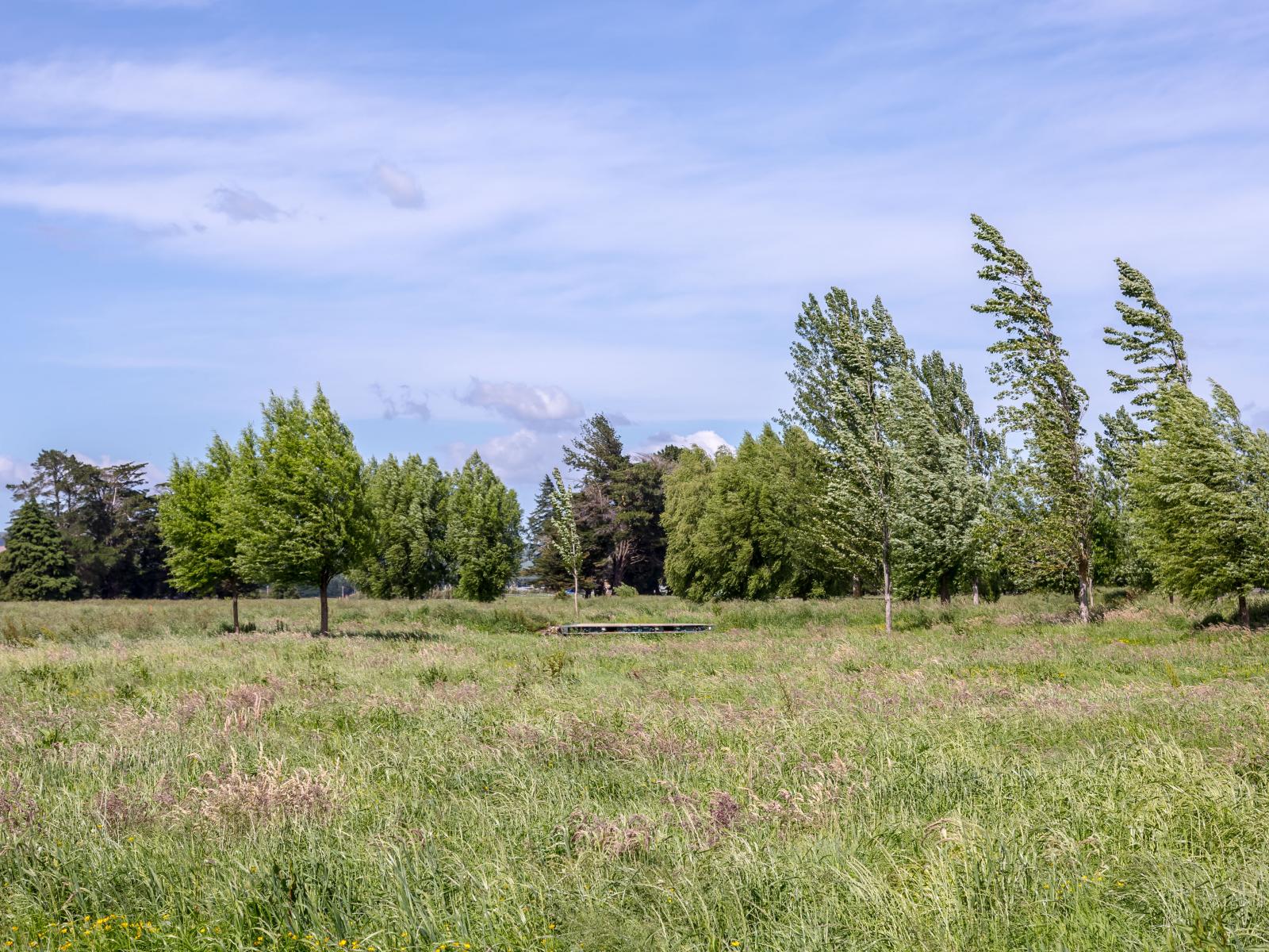 438 Park Road, Parkvale