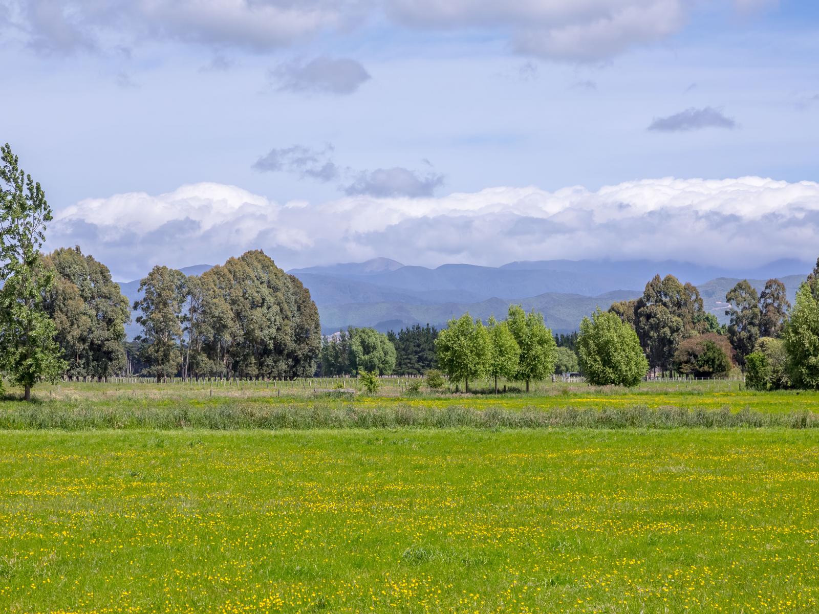 438 Park Road, Parkvale