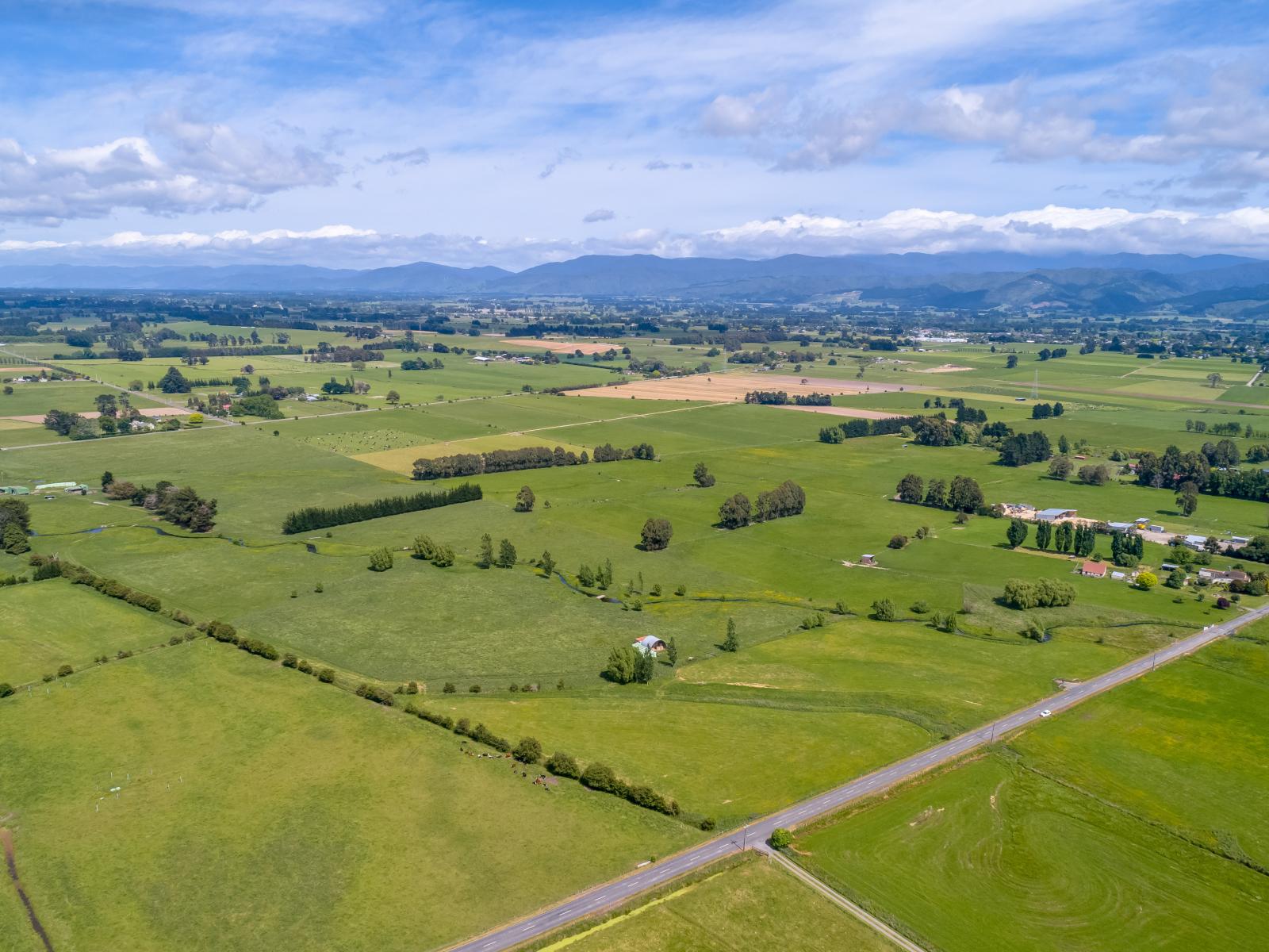 438 Park Road, Parkvale