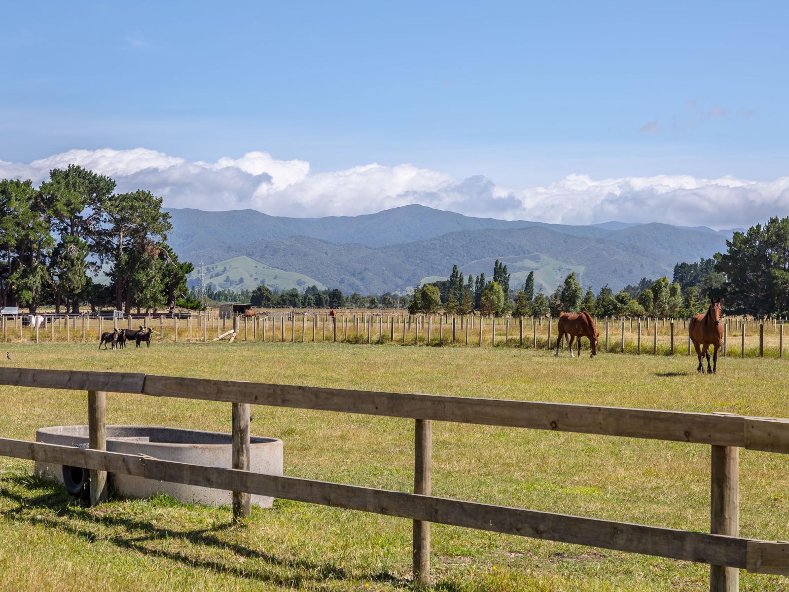 90 Settlement Road, Morrisons Bush