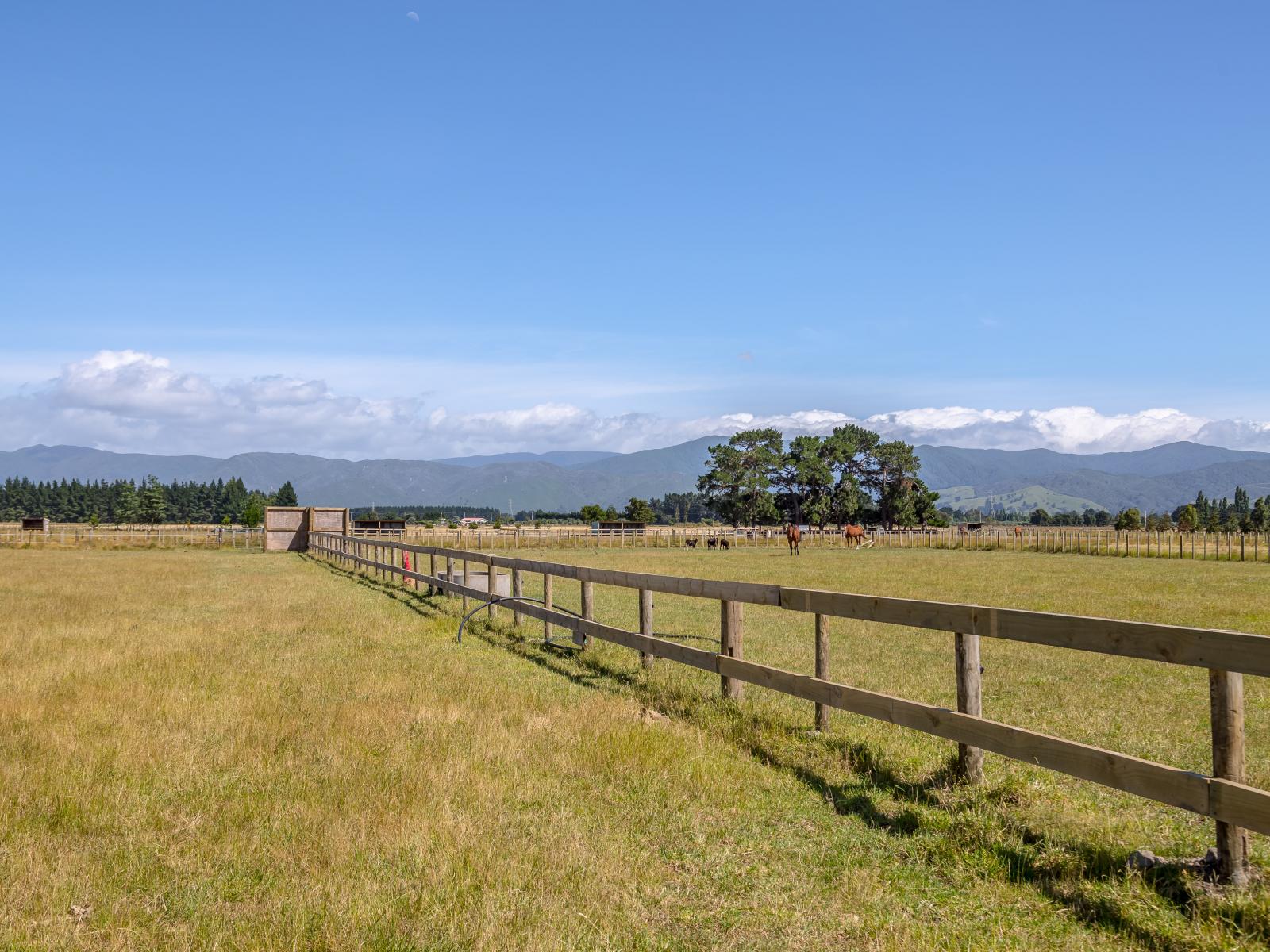 90 Settlement Road, Morrisons Bush