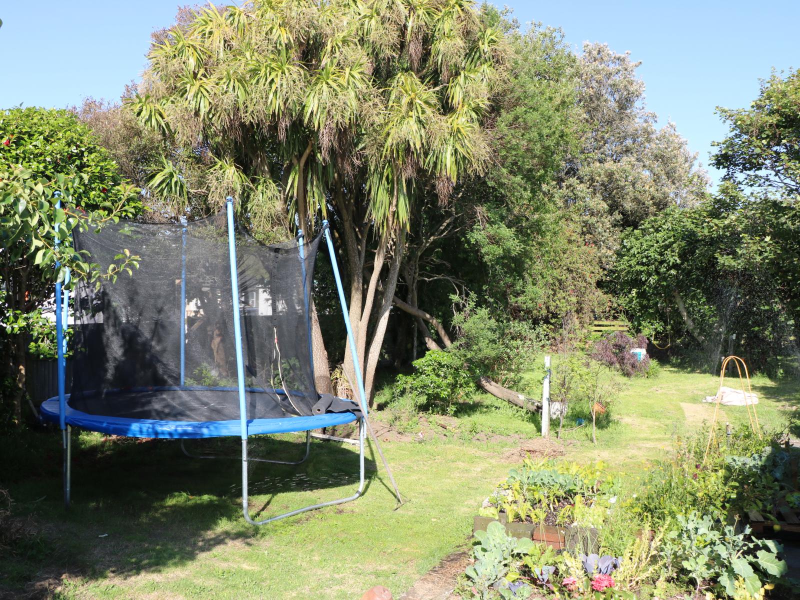 12 Easton Street, Foxton