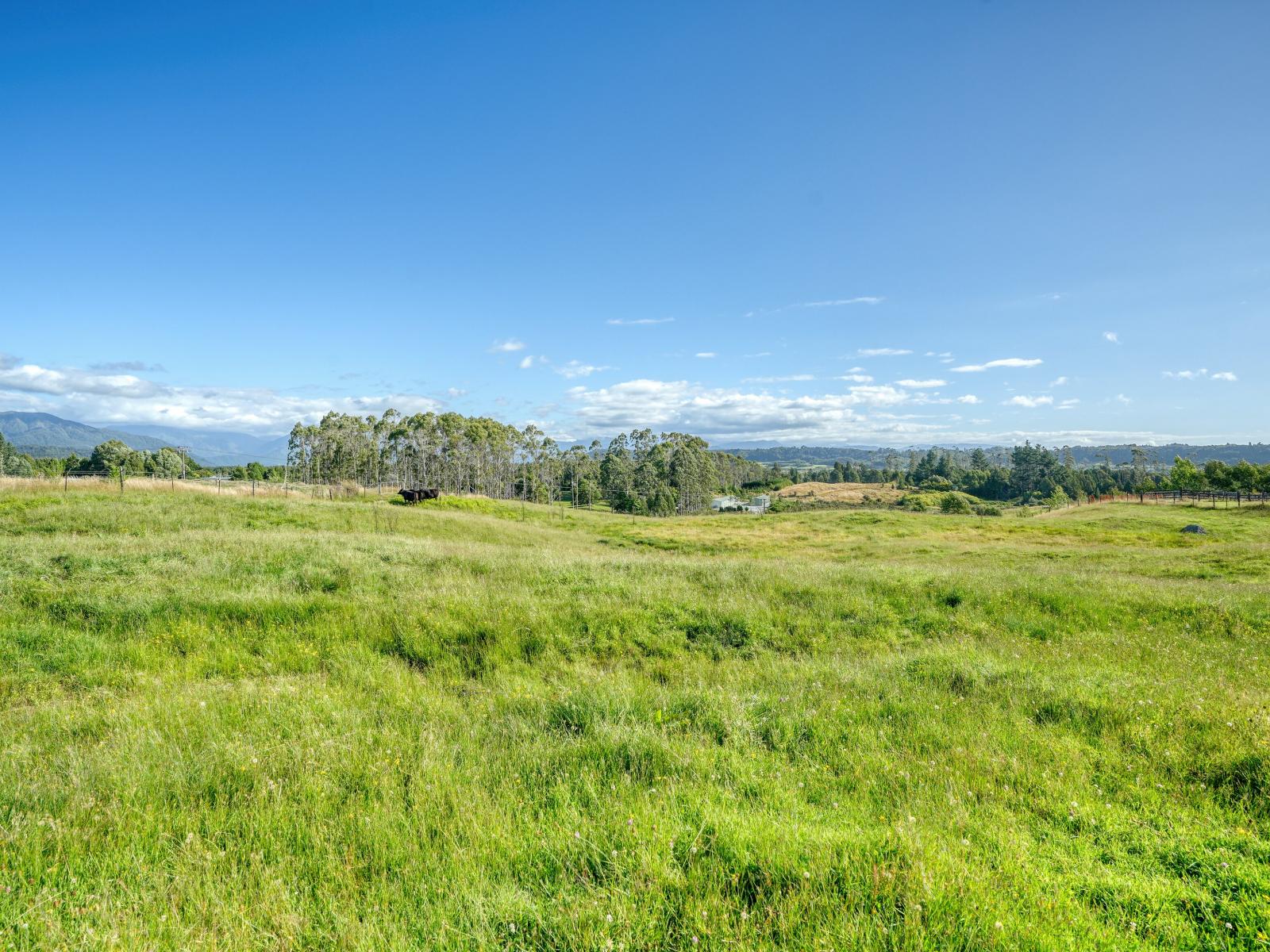 445 Lake Kaniere Road, Kaniere