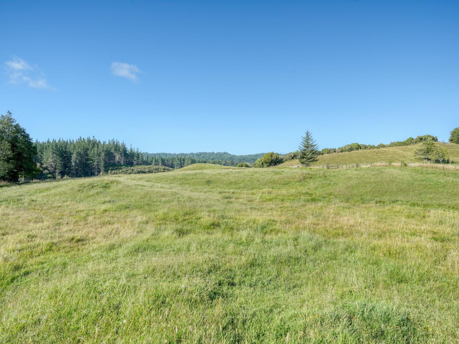 445 Lake Kaniere Road, Kaniere