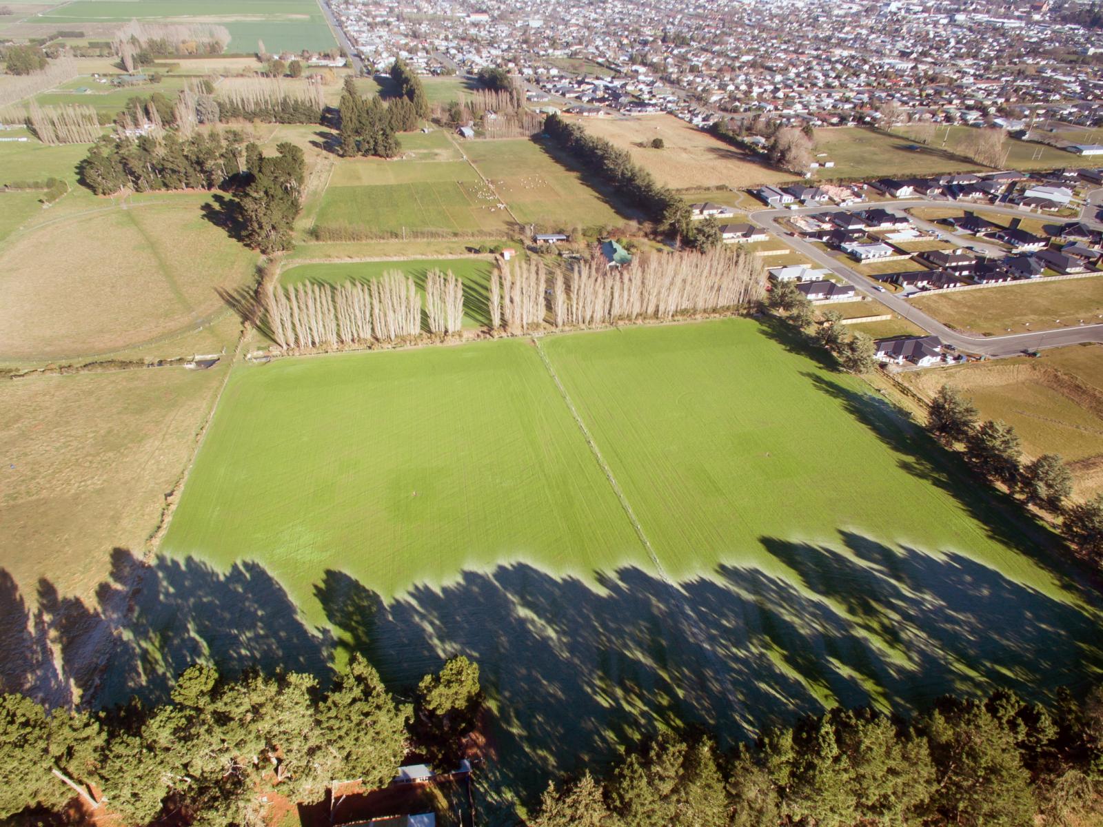 61 Albert Street, Netherby