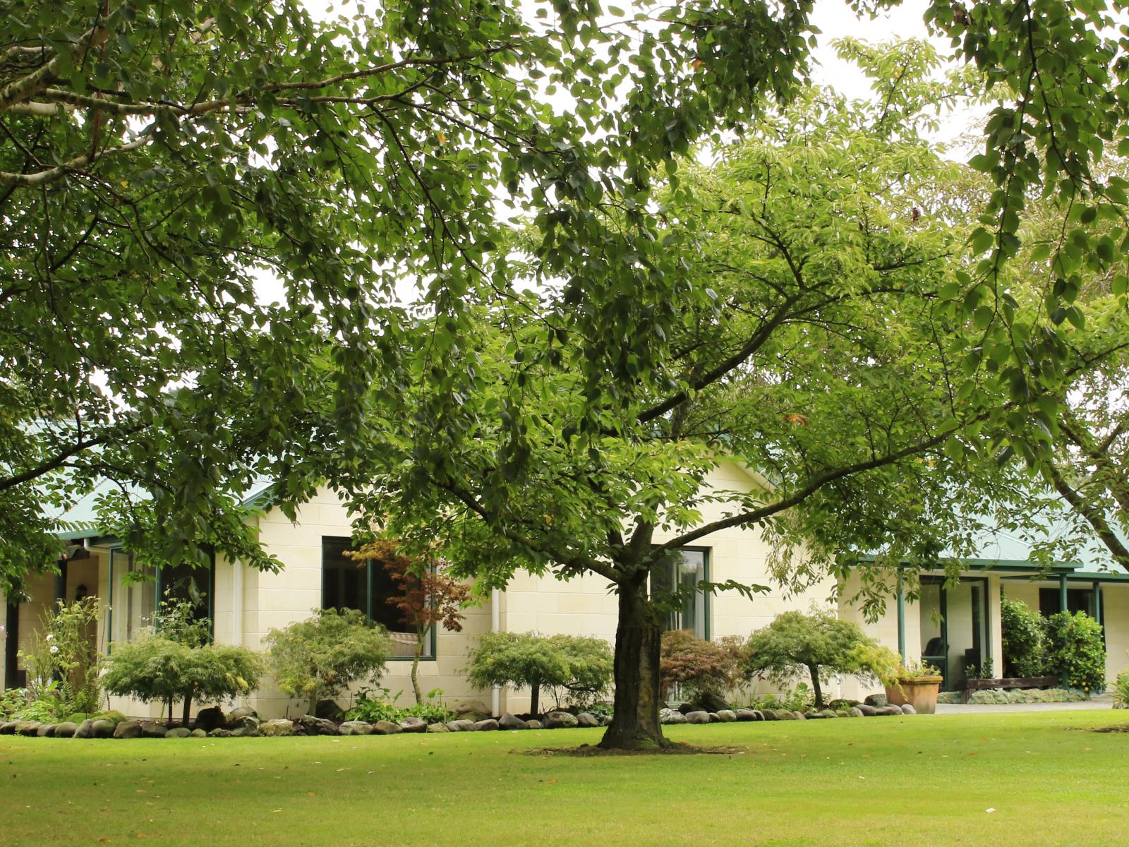 61 Albert Street, Netherby